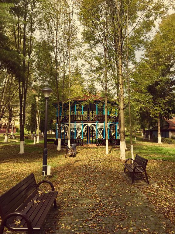 Vila Luminita Sângeorz-Băi Exterior photo